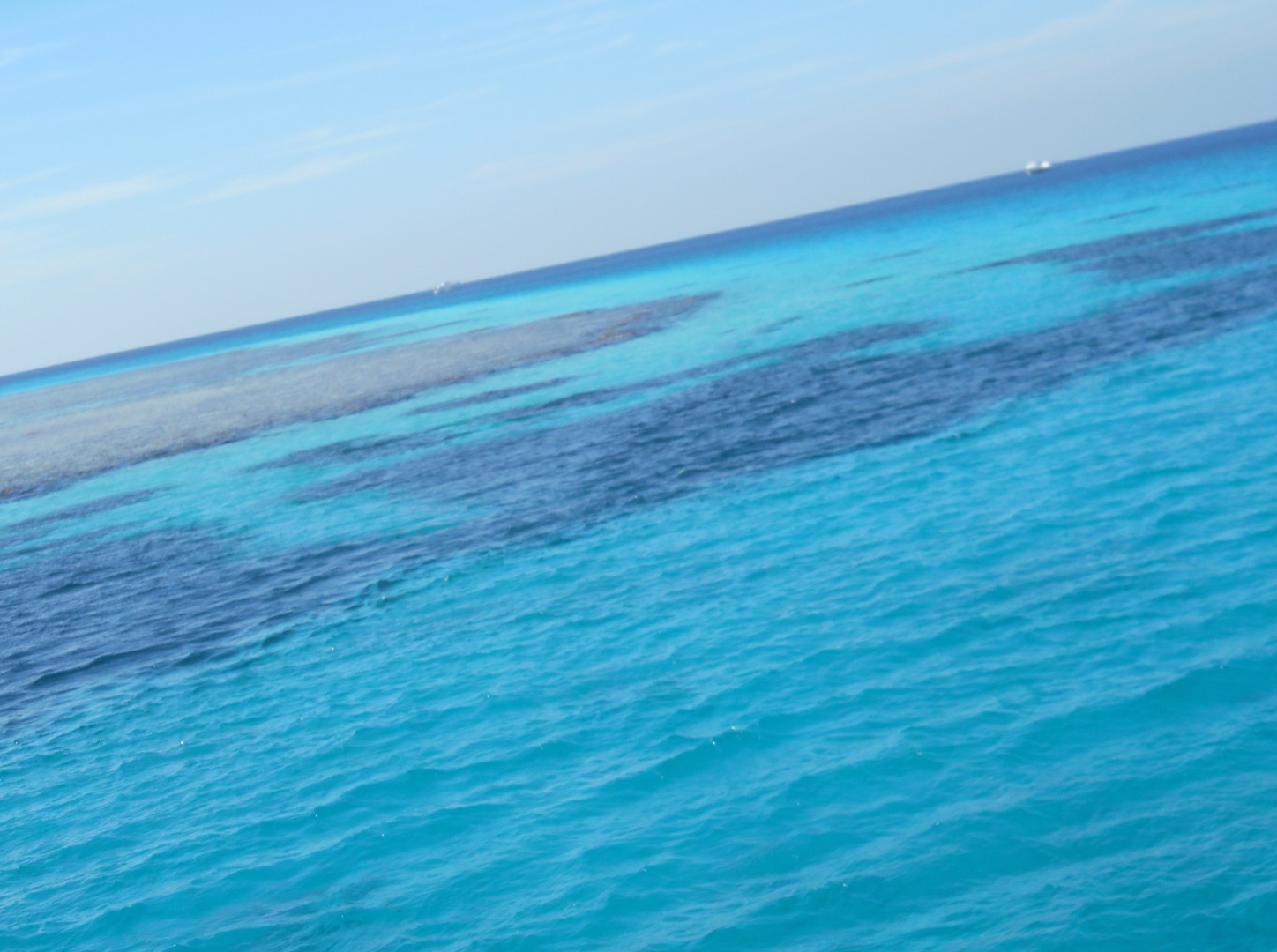 Как на меня напала рыба-хирург. Правильное лечение - личный опыт.