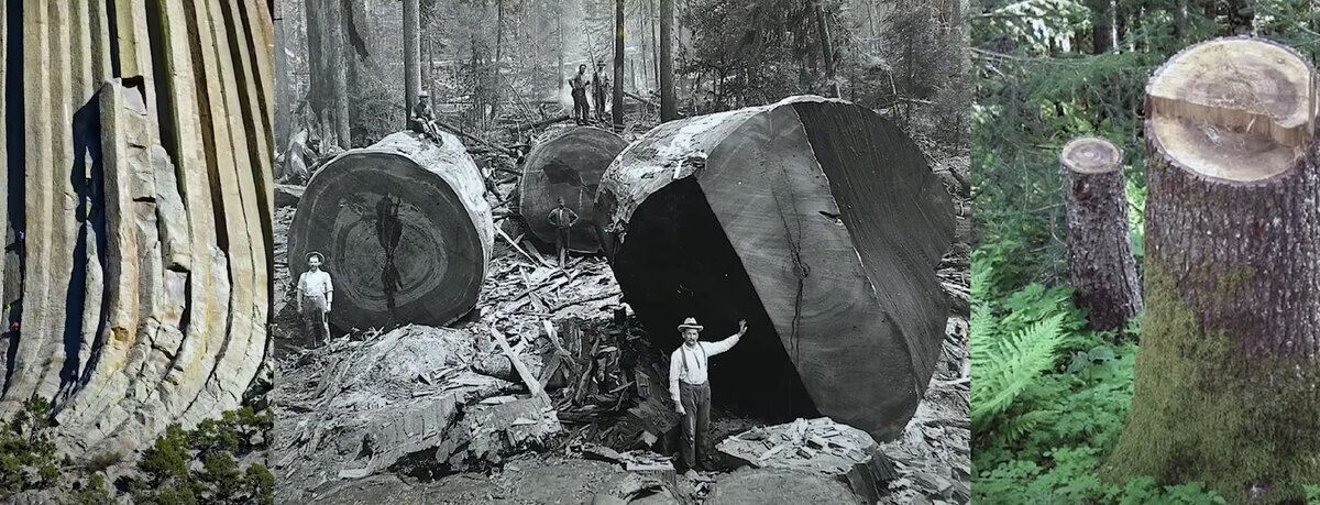 Наука не верит в существование гигинтов.