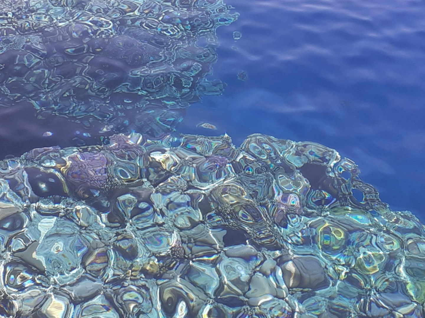 Как на меня напала рыба-хирург. Правильное лечение - личный опыт.