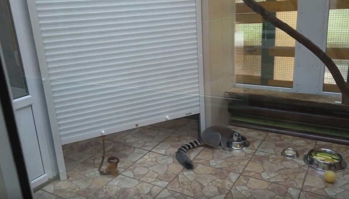 Зоопарк в Омске. 12 лет "на том же месте"!!!