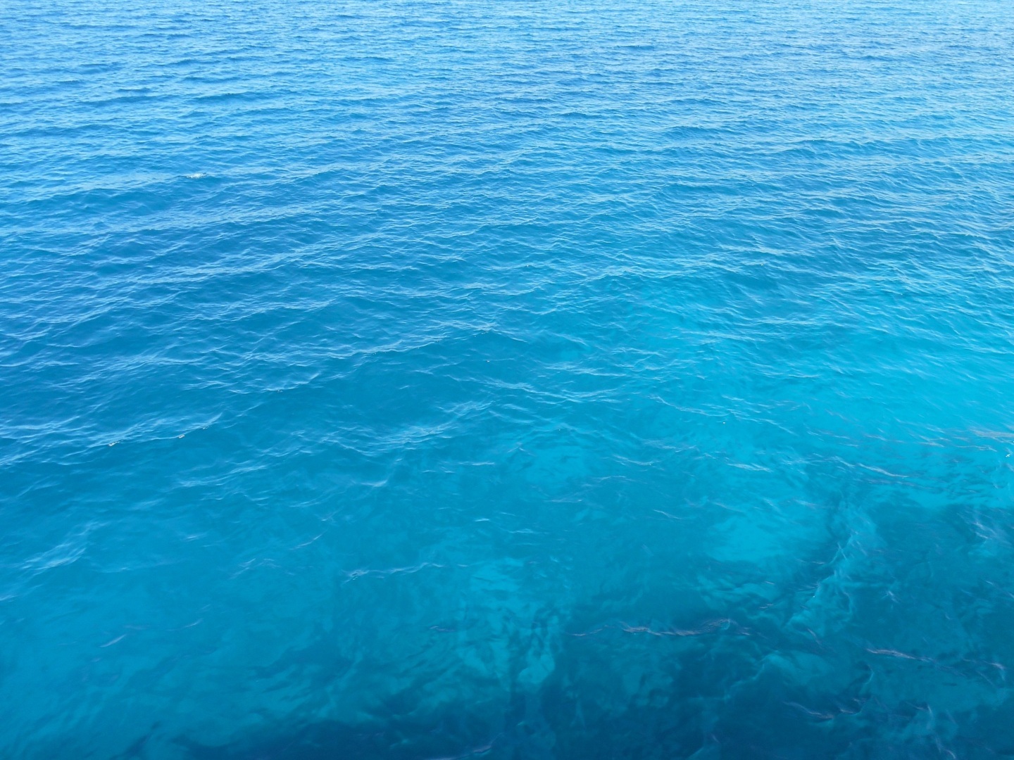 Как на меня напала рыба-хирург. Правильное лечение - личный опыт.