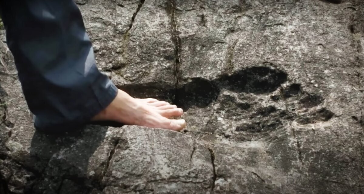 Наука не верит в существование гигинтов.