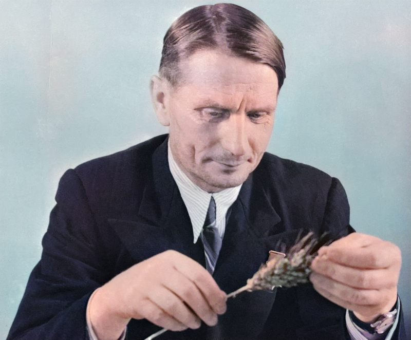 Лысенкоизм