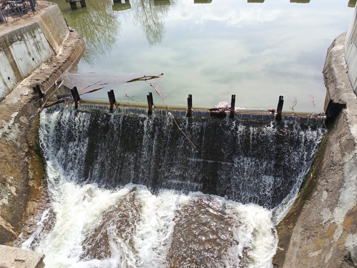 Пришла весна – пора гулять! Моя прогулка по Парку «Кузьминки» в Москве. История Усадьбы, Дед Мороз, Тропа сказок. Фото