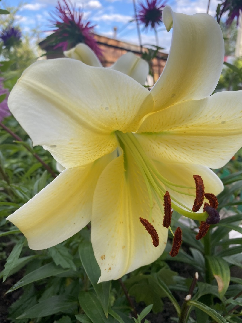 О чем сейчас важно помнить В Саду И Огороде?