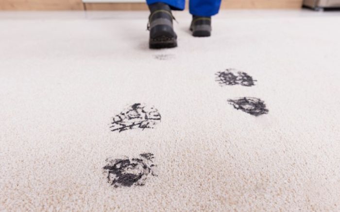 Грязные домашние ковры: Скрытые опасности для здоровья и благополучие вашей семьи