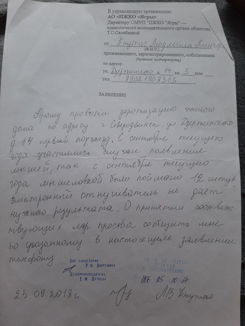 Как я обратилась в управляющую компанию за разрешением своего наболевшего жилищного вопроса. Принятые меры и выводы автора