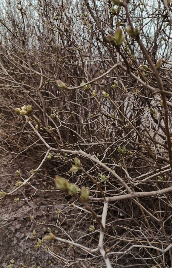 🐘⚡️Загадочный ДОМ-СЛОН, занесенный в Книгу рекордов Гиннесса! Мой обзор на объект архитектуры, в котором уже несколько лет владелец не делает ремонт.