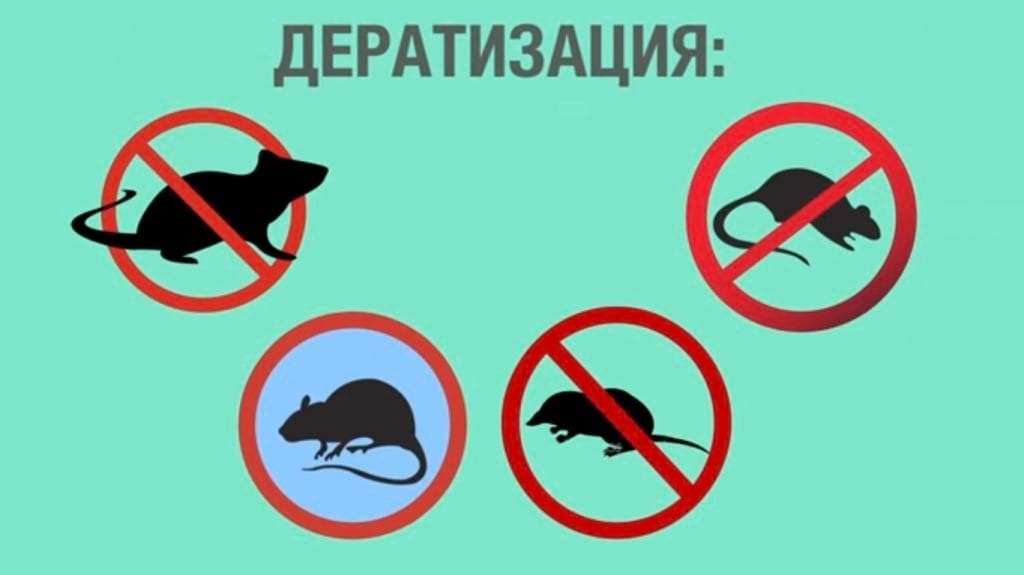 Как я обратилась в управляющую компанию за разрешением своего наболевшего жилищного вопроса. Принятые меры и выводы автора