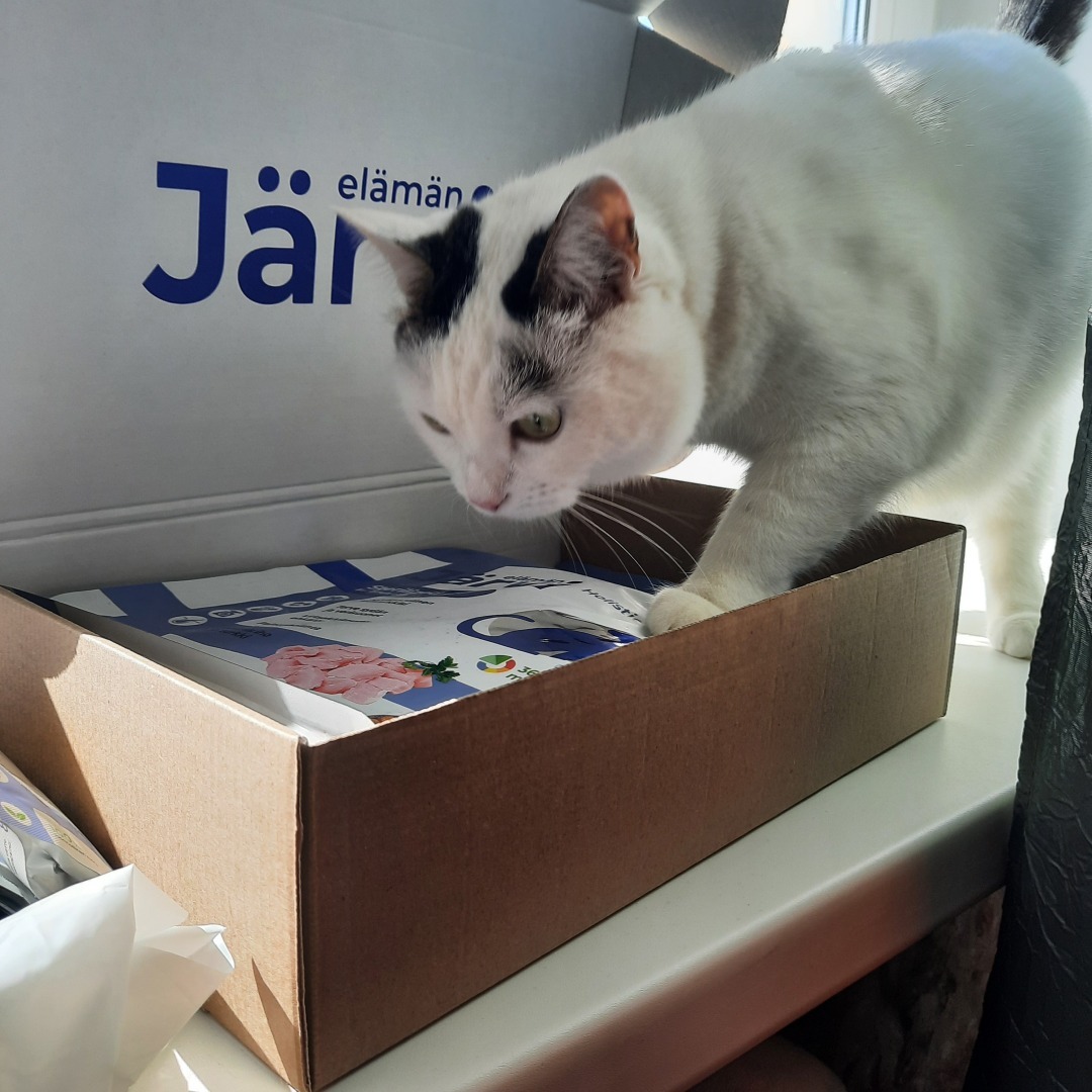 Обзор кормов Jarvi. Моя посылка.