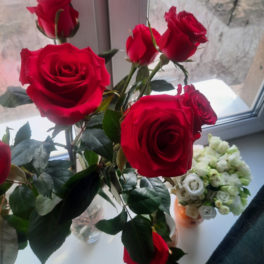 Доброта и порядочность воспринимаются как слабость.