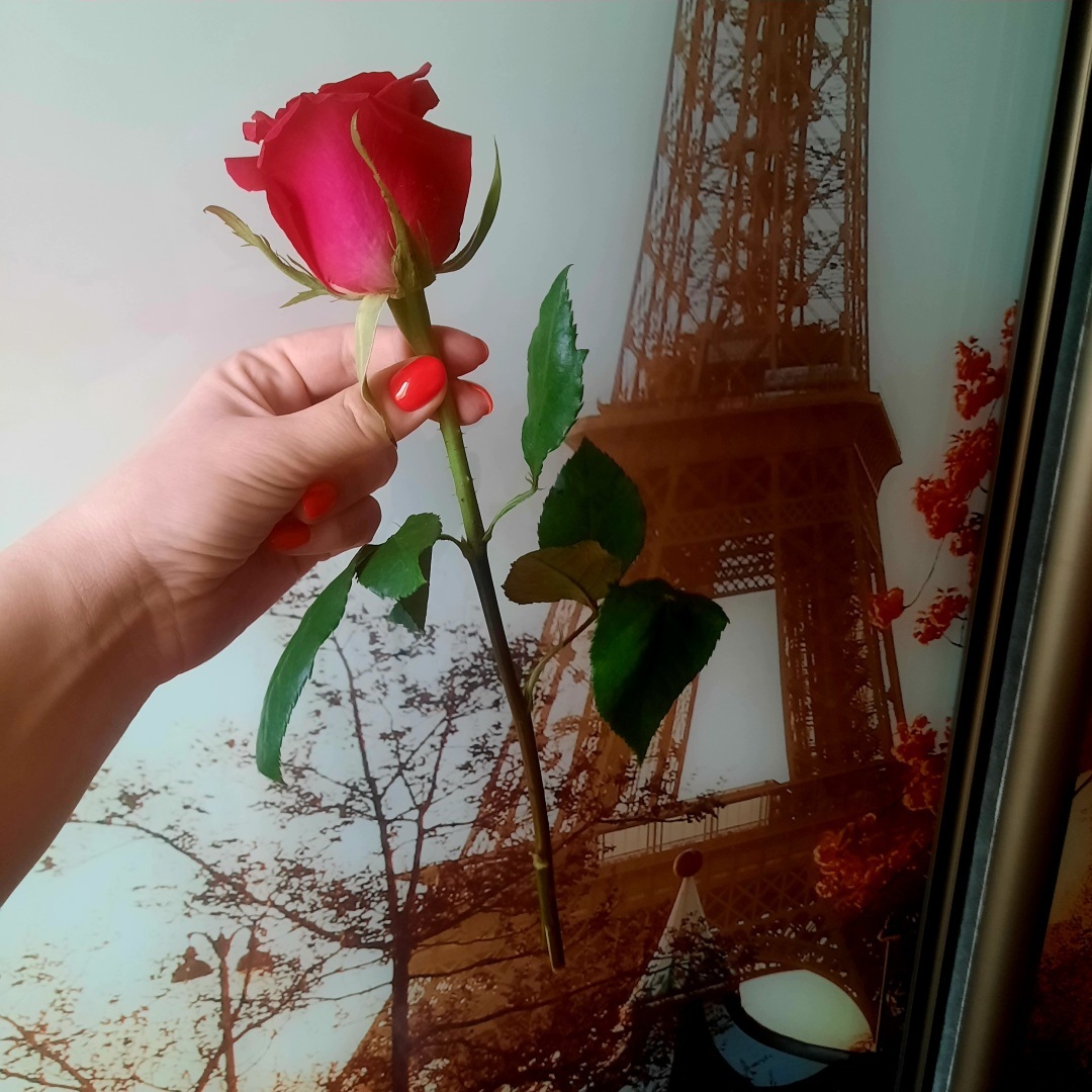 Доброта и порядочность воспринимаются как слабость.