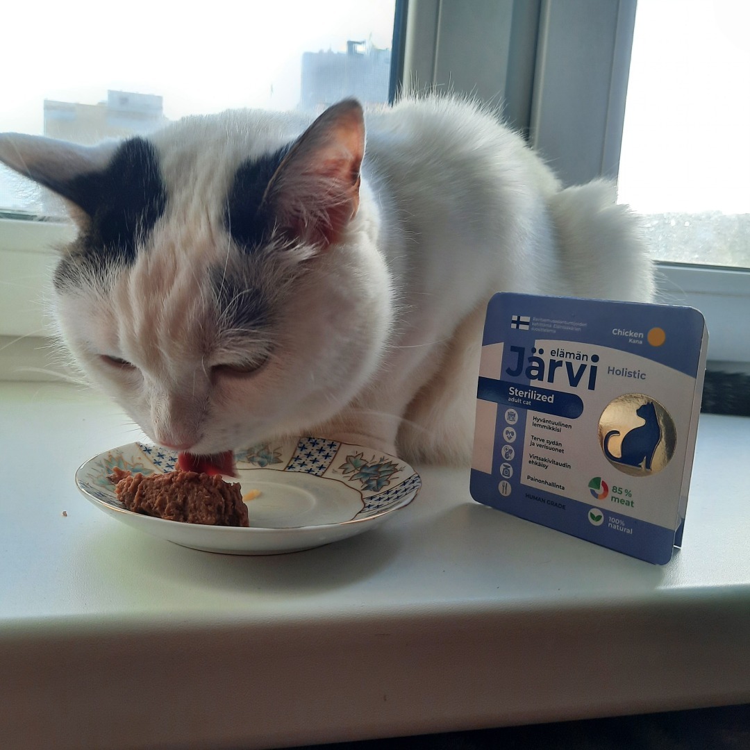 Обзор кормов Jarvi. Моя посылка.