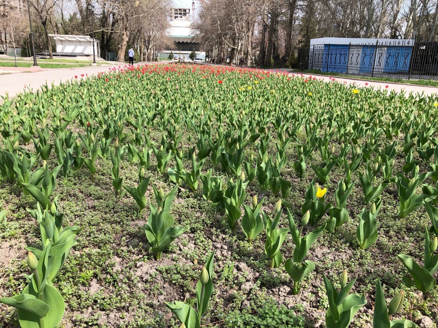 Страна, чтящая и уважающая своё прошлое, это Кыргызстан