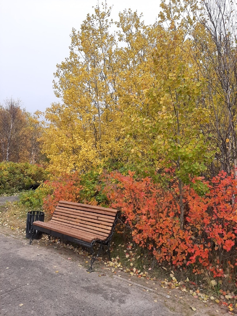 Мои прогулки по набережной имени Александра Зрячева. Прекрасные закаты, Белое море и набережная в разное время года.