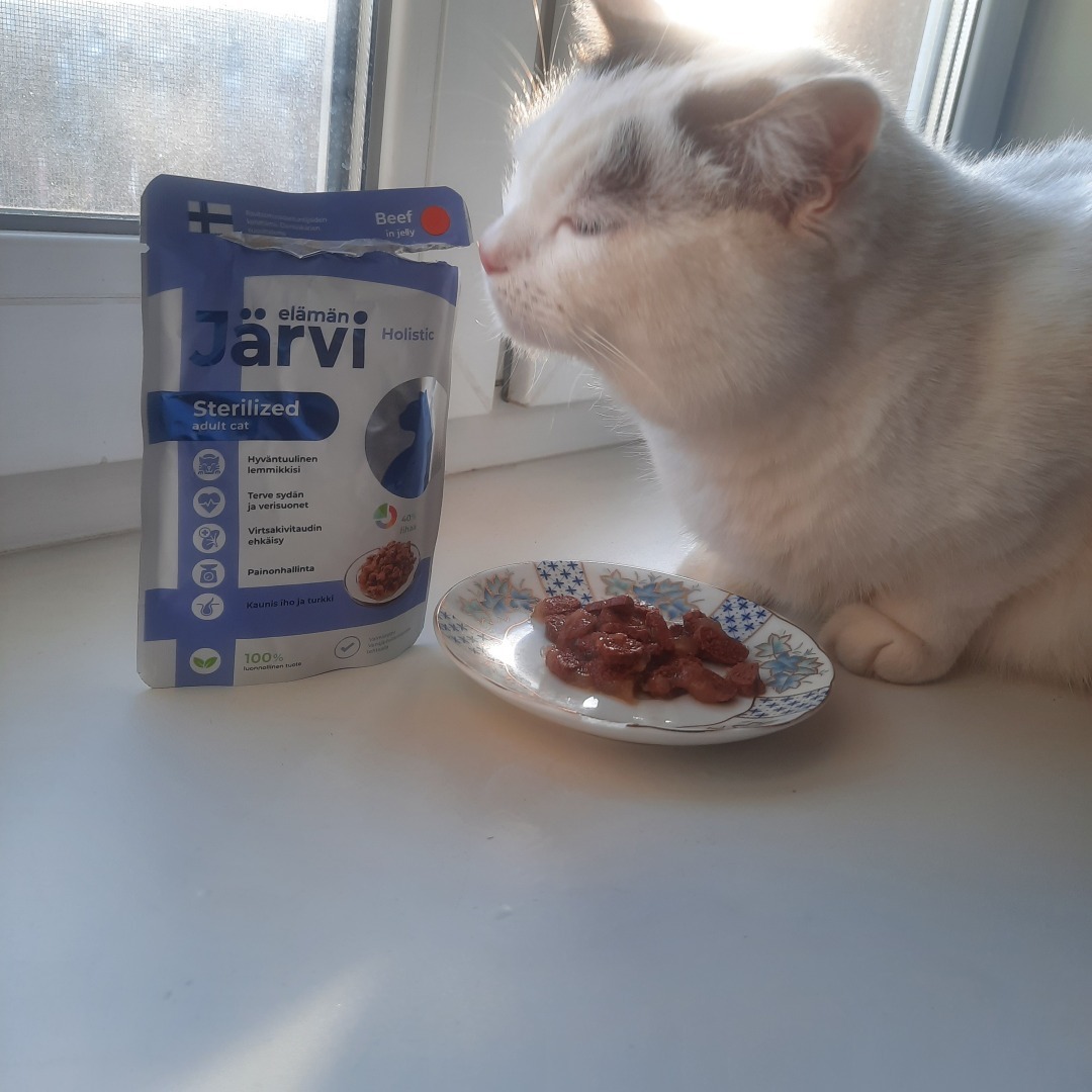 Обзор кормов Jarvi. Моя посылка.