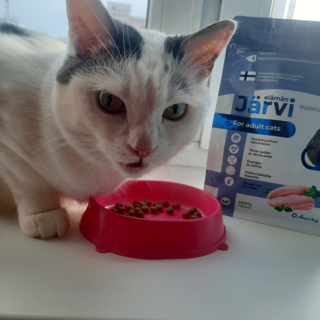 Обзор кормов Jarvi. Моя посылка.