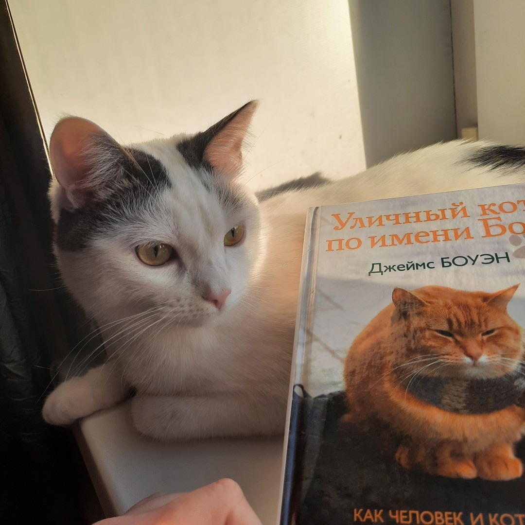 Я - автор. Или моя статья-знакомство.