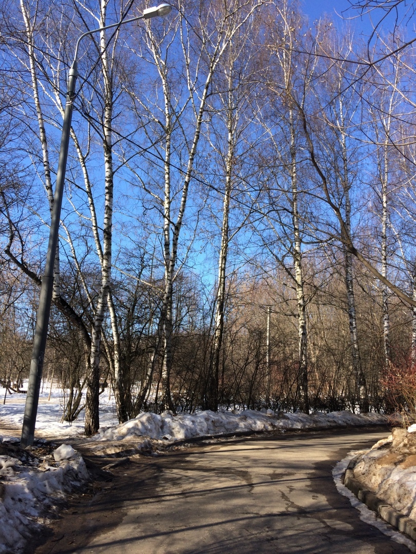 Весенний привет всем, кто, как и я, любит весну...