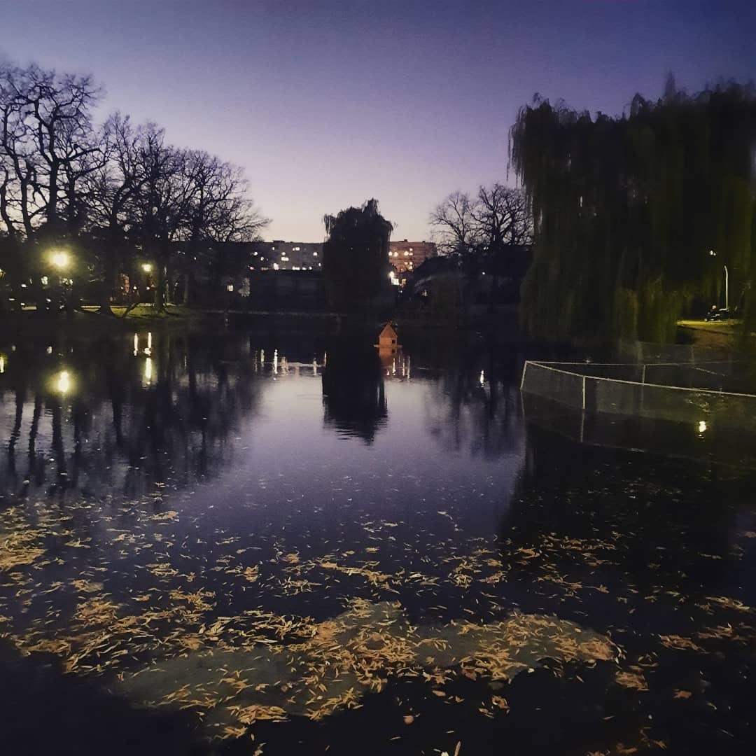 Я - автор. Или моя статья-знакомство.