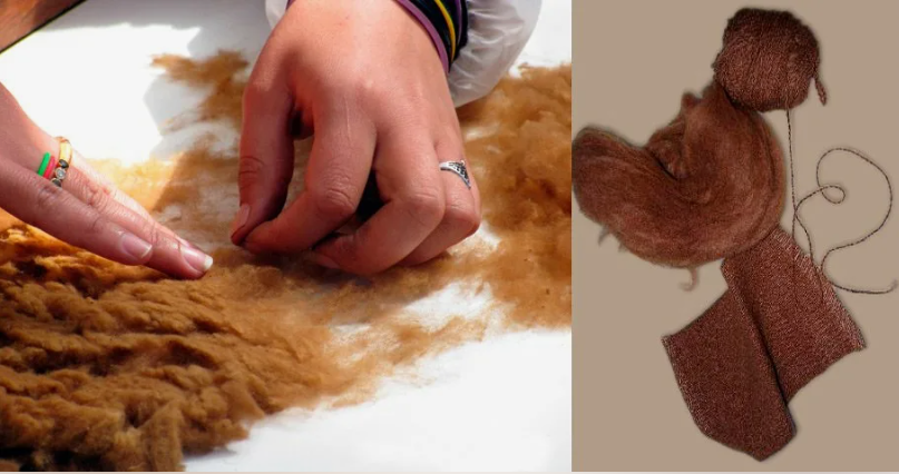 Викунья носит тончайшую шерсть.