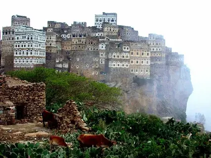 Остров Сокотра — удивительный архипелаг, богатая история и культура.