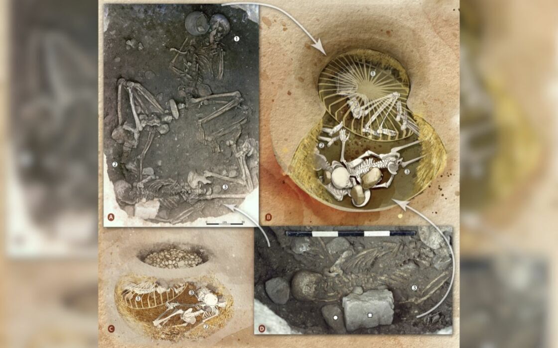 Жестокие человеческие жертвоприношения эпохи неолита