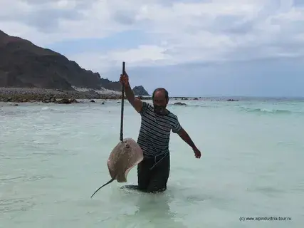 Остров Сокотра — удивительный архипелаг, богатая история и культура.