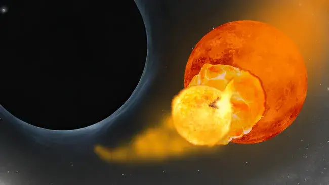 Звезды-каннибалы в центре Млечного Пути остаются молодыми ужасным образом