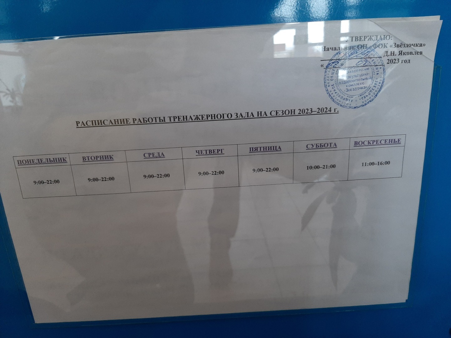 Как я посетила тренажерный зал ФОК «Звездочка»: спортивные выходные. Впечатления от тренировки