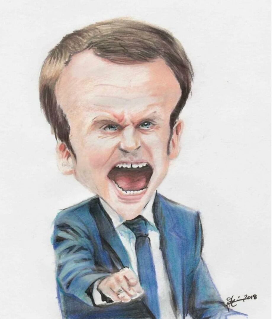 Макрон в отчаянии: неужели француз планирует сорвать решающее наступление России на Украине?