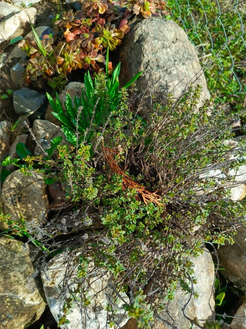 Есть в России памятные места: Православный источник Илии Пророка в Тверской области. Фото, экскурсия моих родных