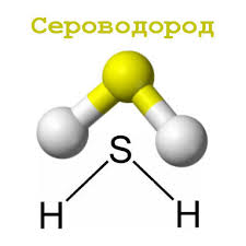 Сингапурский техник заключен в тюрьму за выброс токсичного газа, в результате которого в сентябре 2020 года погиб гражданин Индии