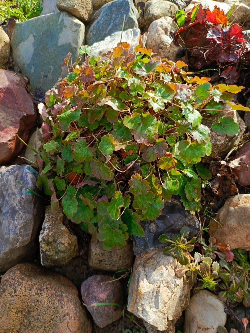 Есть в России памятные места: Православный источник Илии Пророка в Тверской области. Фото, экскурсия моих родных