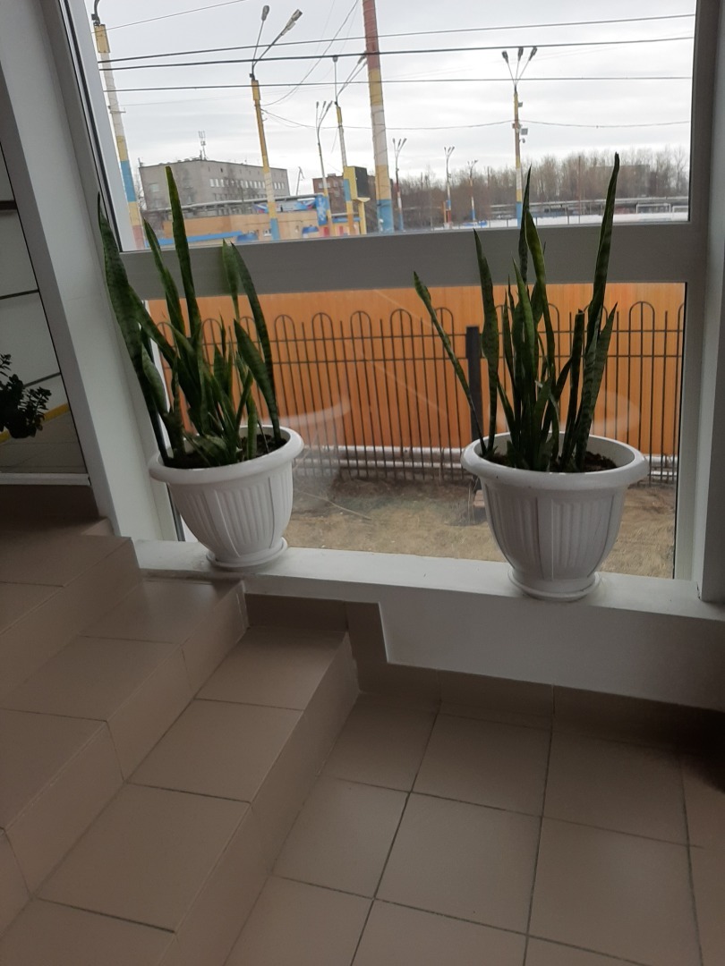 Как я посетила тренажерный зал ФОК «Звездочка»: спортивные выходные. Впечатления от тренировки