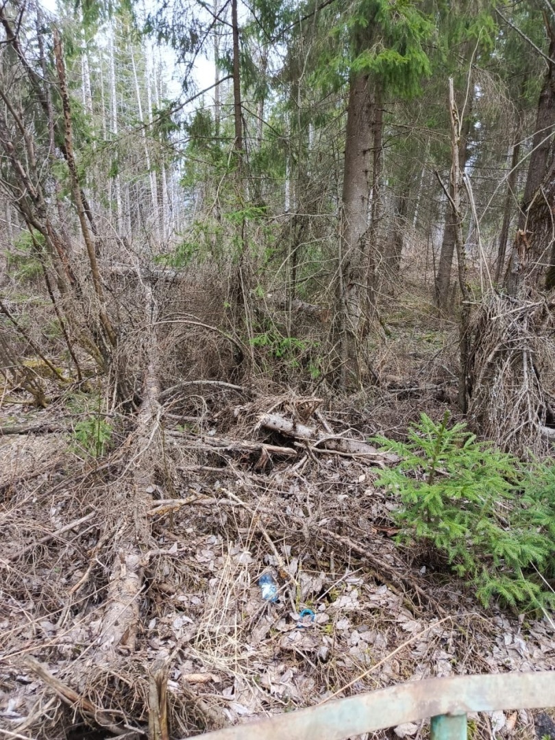 Есть в России памятные места: Православный источник Илии Пророка в Тверской области. Фото, экскурсия моих родных