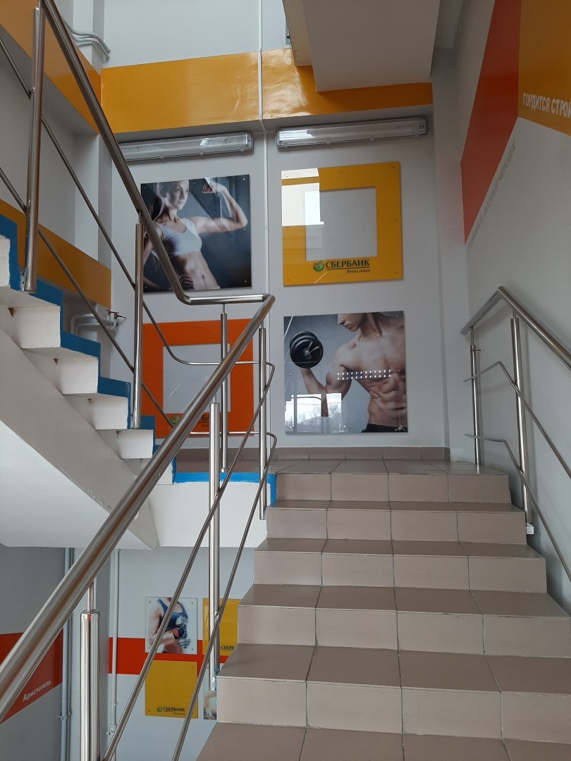 Как я посетила тренажерный зал ФОК «Звездочка»: спортивные выходные. Впечатления от тренировки