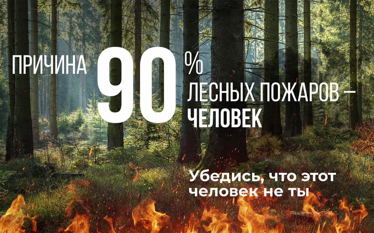 Перетоп, потоп, пожары – Сталин бы послал на нары