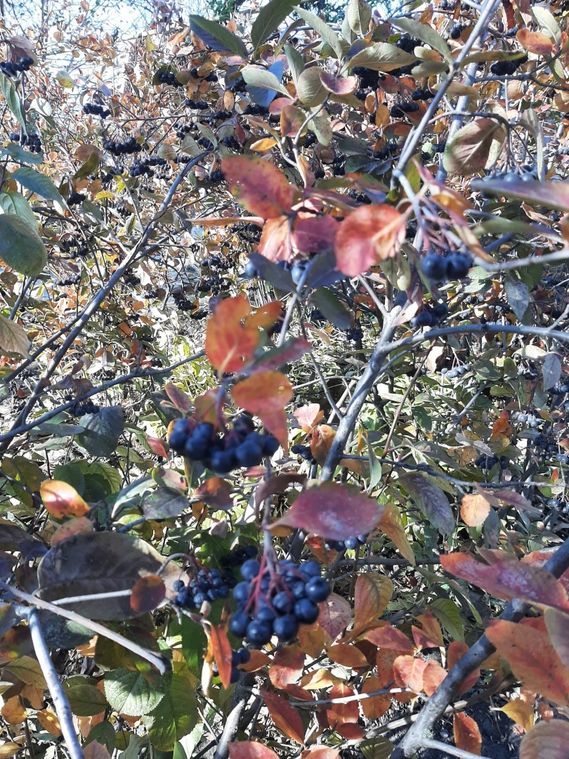 Один день отпуска, который я не забуду никогда.