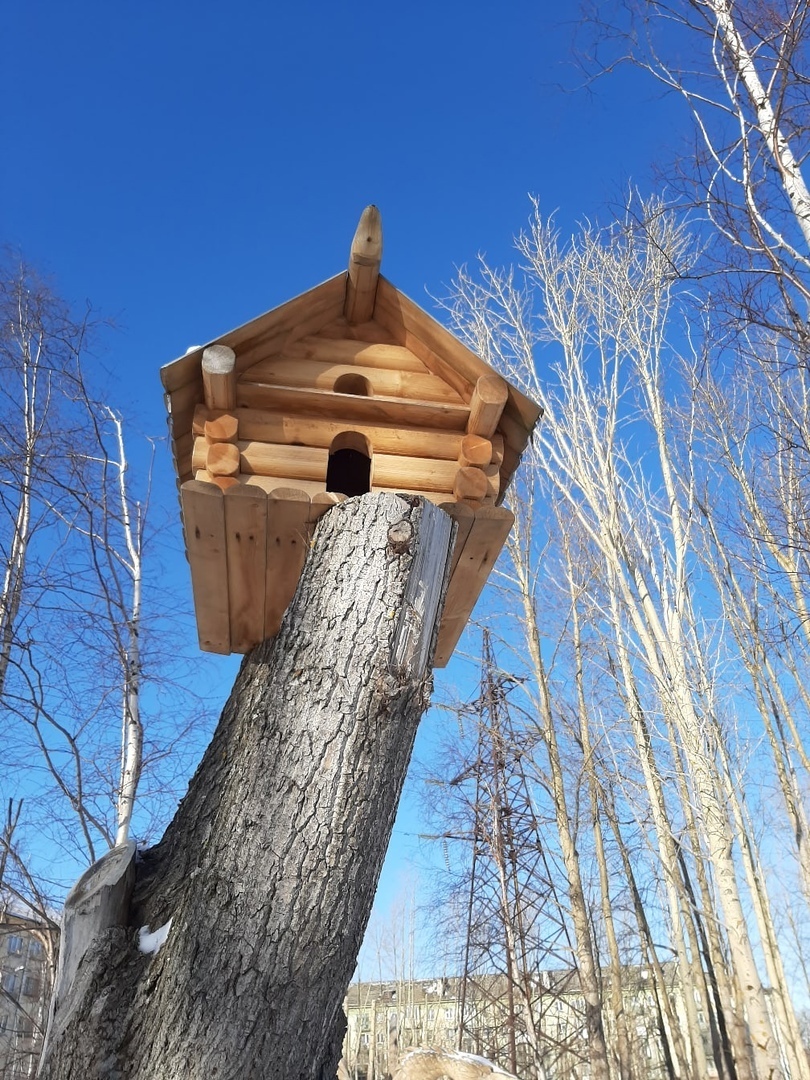 Как я посетила парк стадиона «Беломорец». Впечатления и красивые кадры