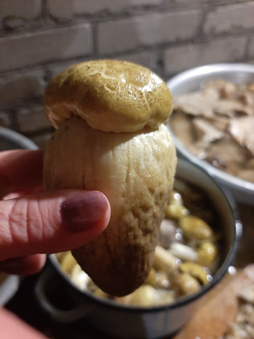 Один день отпуска, который я не забуду никогда.