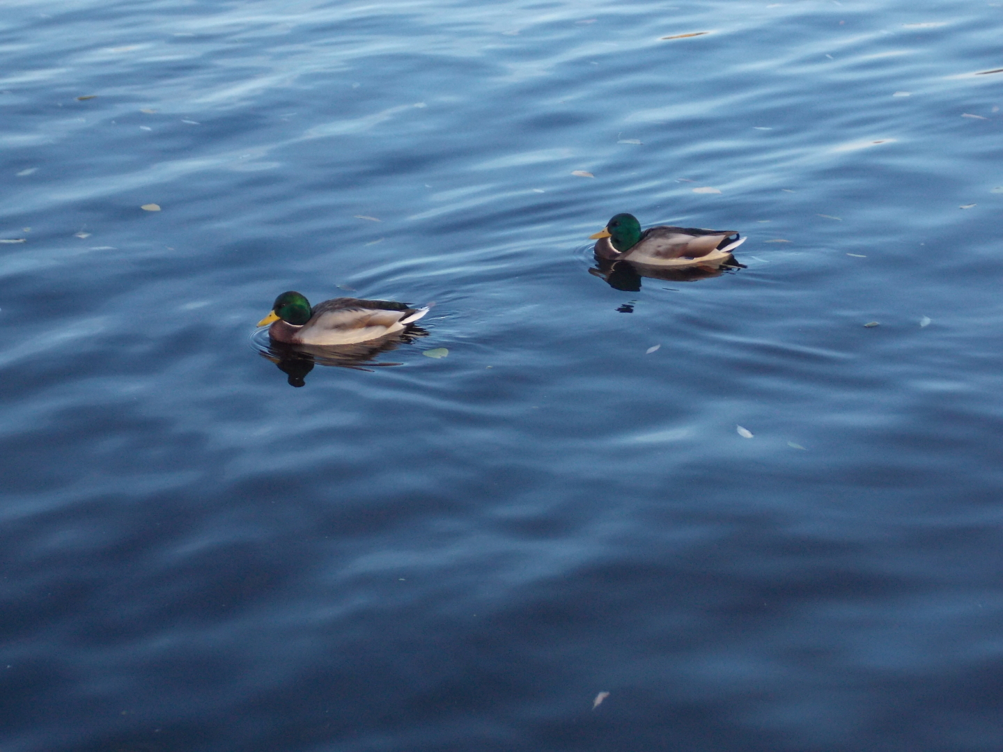 Великолепная Тверь. Мое любимое место в городе