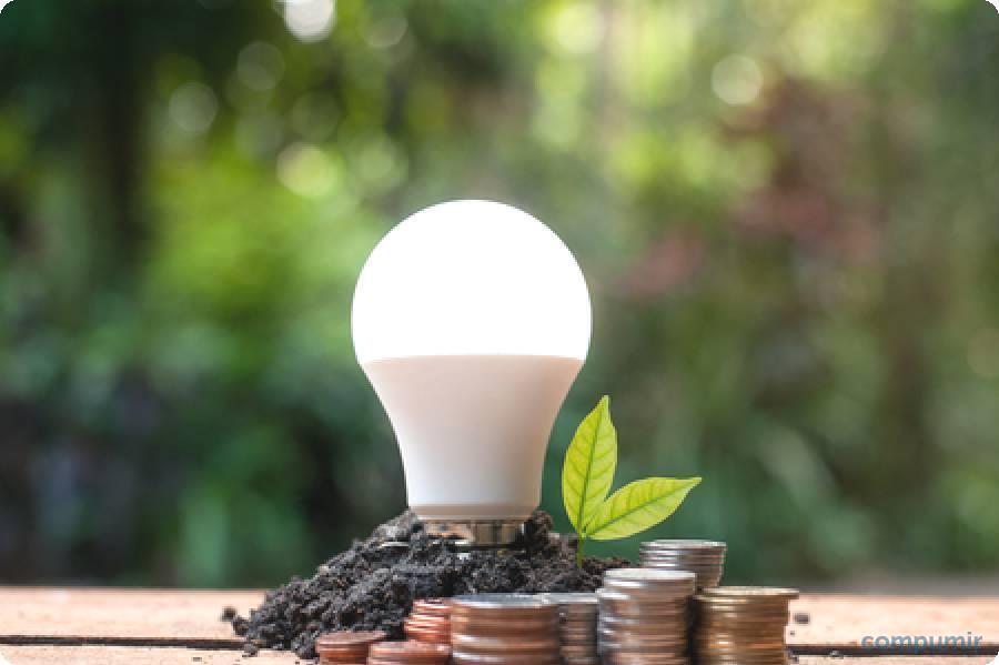 Да будет свет! Энергосберегающие лампочки – все ли вы о них знаете? В чем опасность для здоровья?