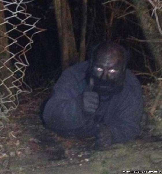 Человек-кот: крысоед из Гринока (реальная история)