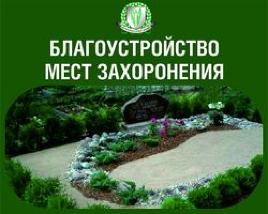 Сухие деревья на кладбище: кто должен их убирать? Правовой анализ и выводы