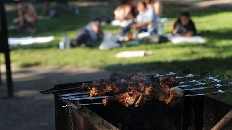 В Москве мигранты массово оккупировали беседки с мангалами в парках