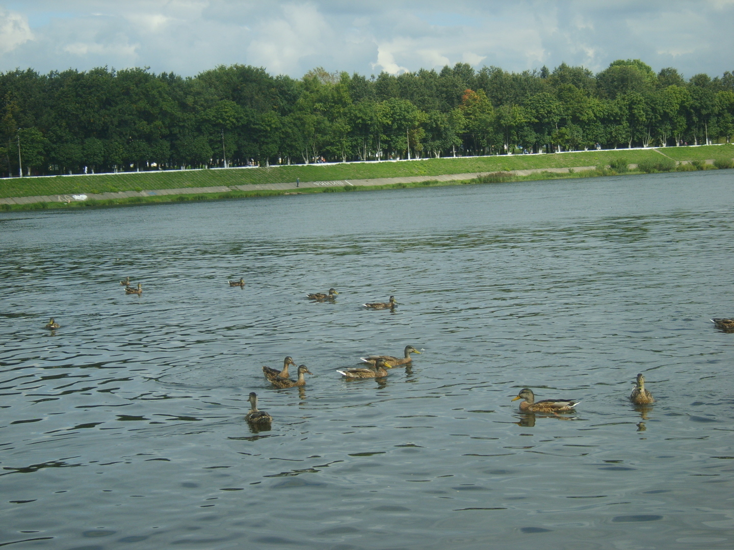 Великолепная Тверь. Мое любимое место в городе