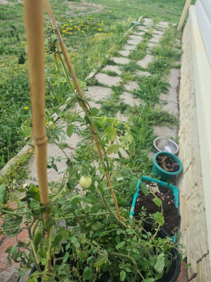 Четвертый день обучения