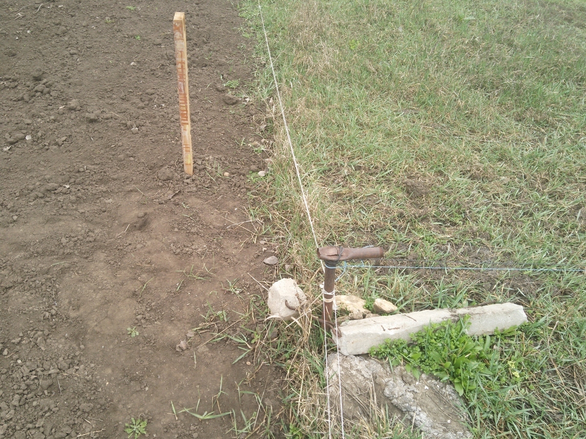 Что бы Вы сделали, если бы Ваш новый сосед, вбил колышки в Вашем огороде, вместе с кадастровым инженером? Как я понял, он хочет захватить от нашего...