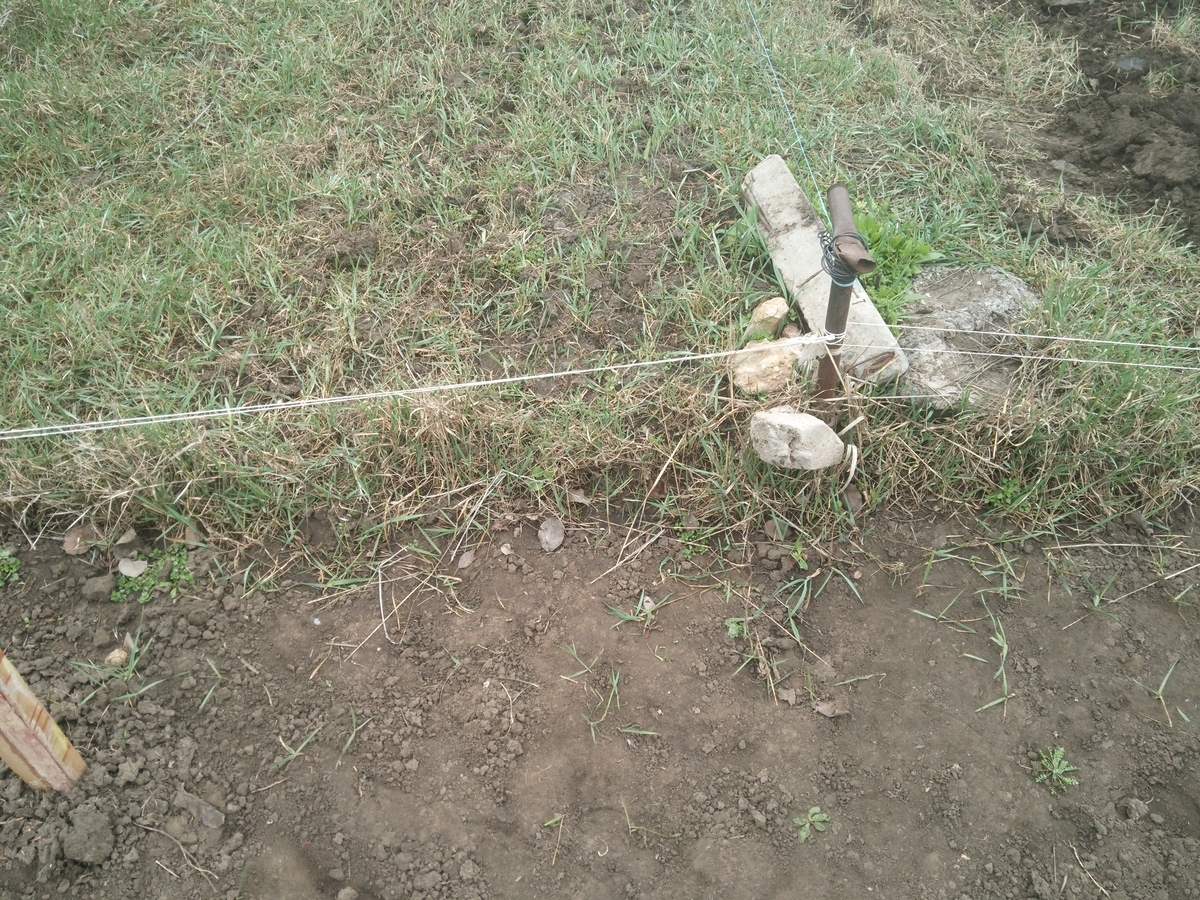 Что бы Вы сделали, если бы Ваш новый сосед, вбил колышки в Вашем огороде, вместе с кадастровым инженером? Как я понял, он хочет захватить от нашего...